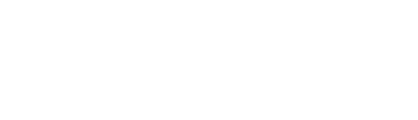 Maximus BPO logo